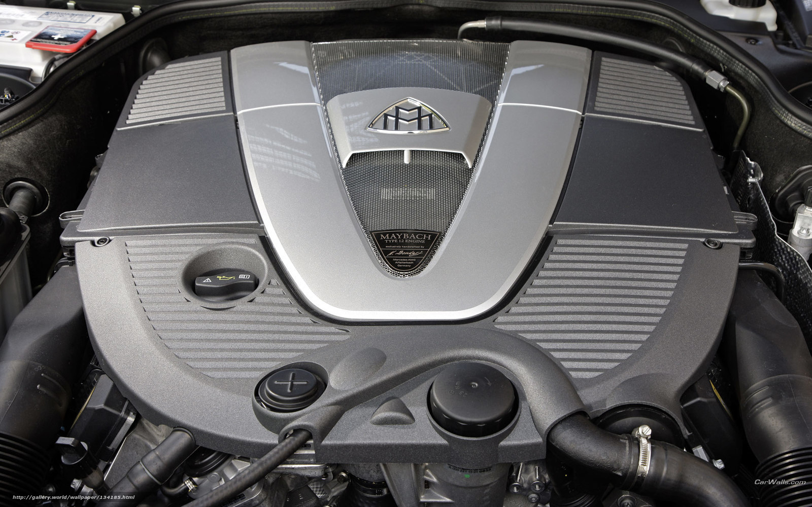 Maybach engine cover