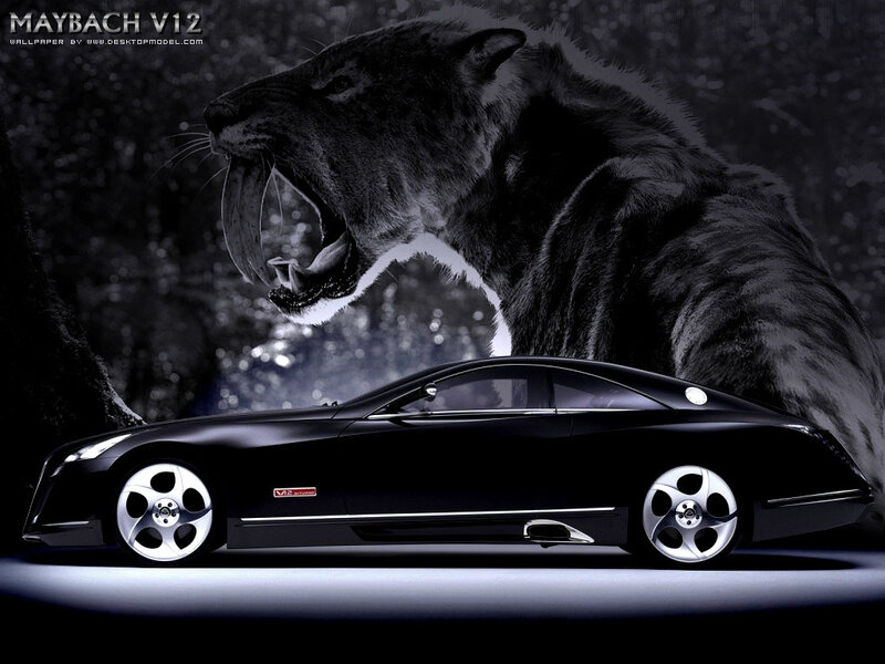 Maybach V12 with saber-toothed tiger