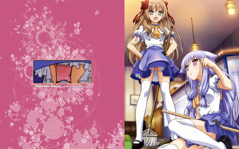 Mayoi Neko Overrun! characters