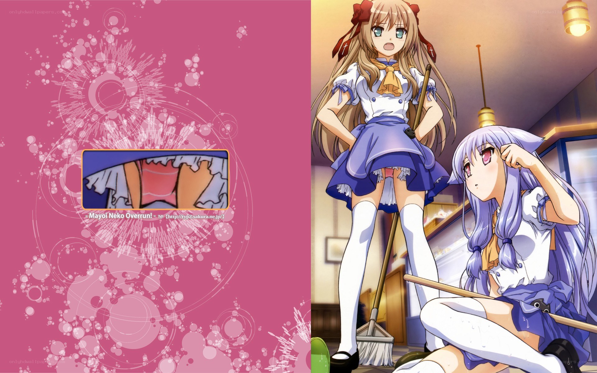 Mayoi Neko Overrun! characters