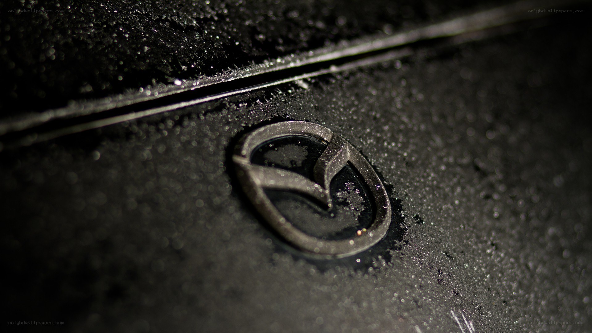 Mazda logo on wet surface