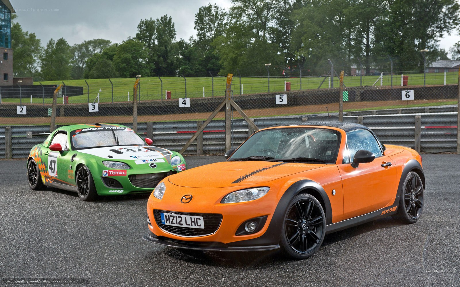 Mazda MX-5 race cars on track