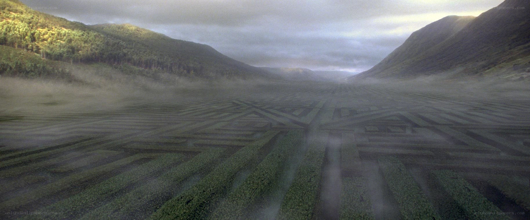 Maze in a misty valley