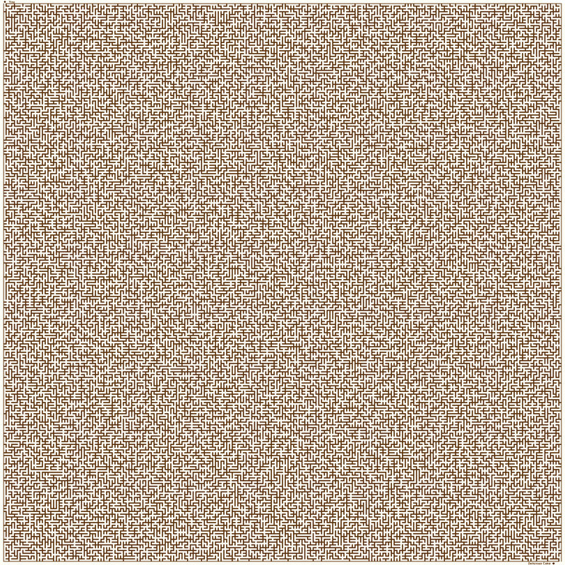 maze puzzle with hidden text