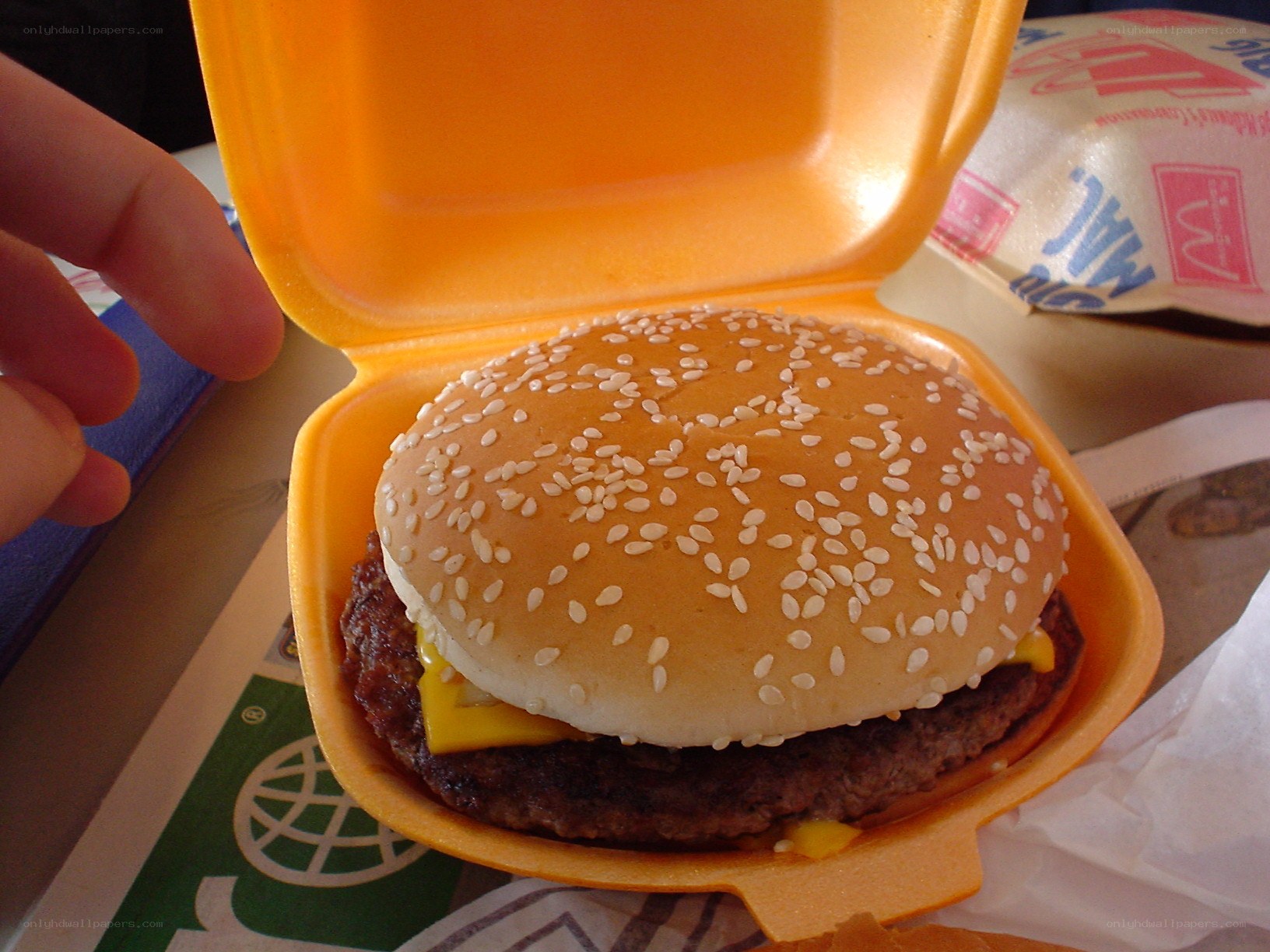 McDonald's cheeseburger in container
