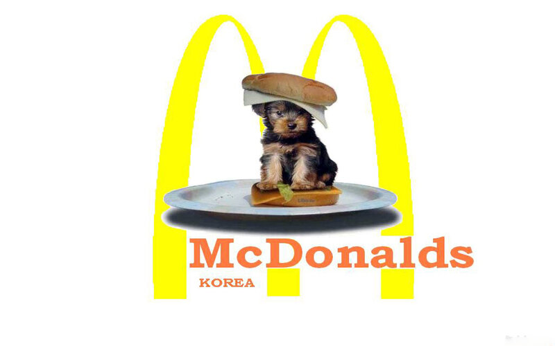 McDonald's Korea ad with puppy