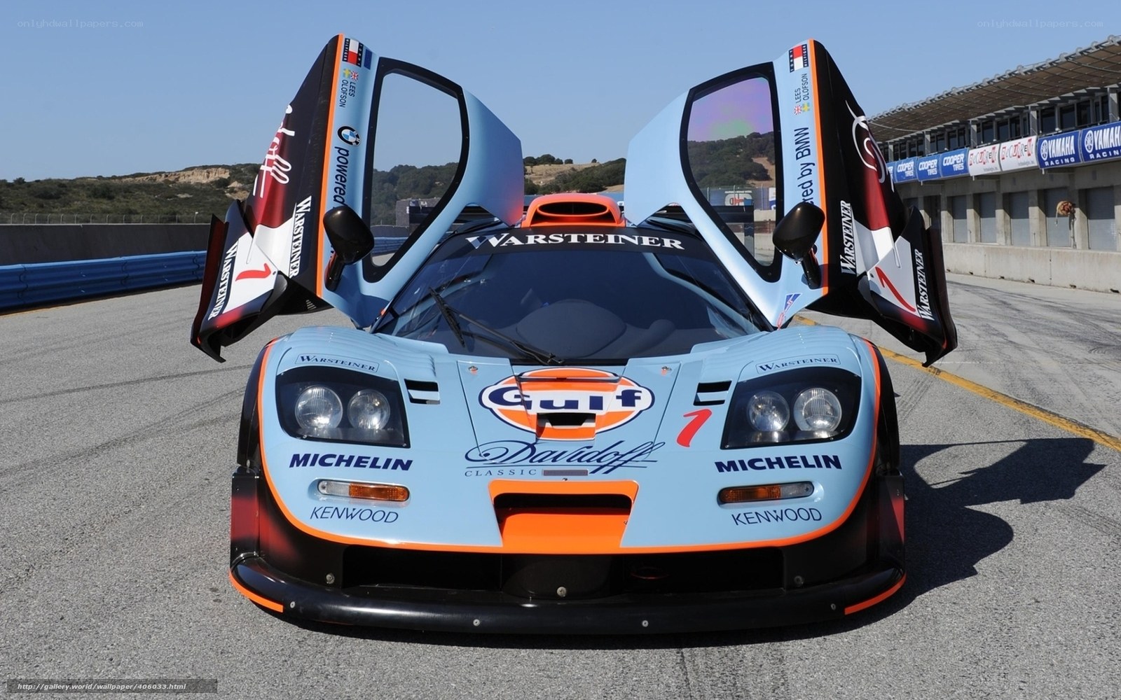 McLaren F1 GTR race car