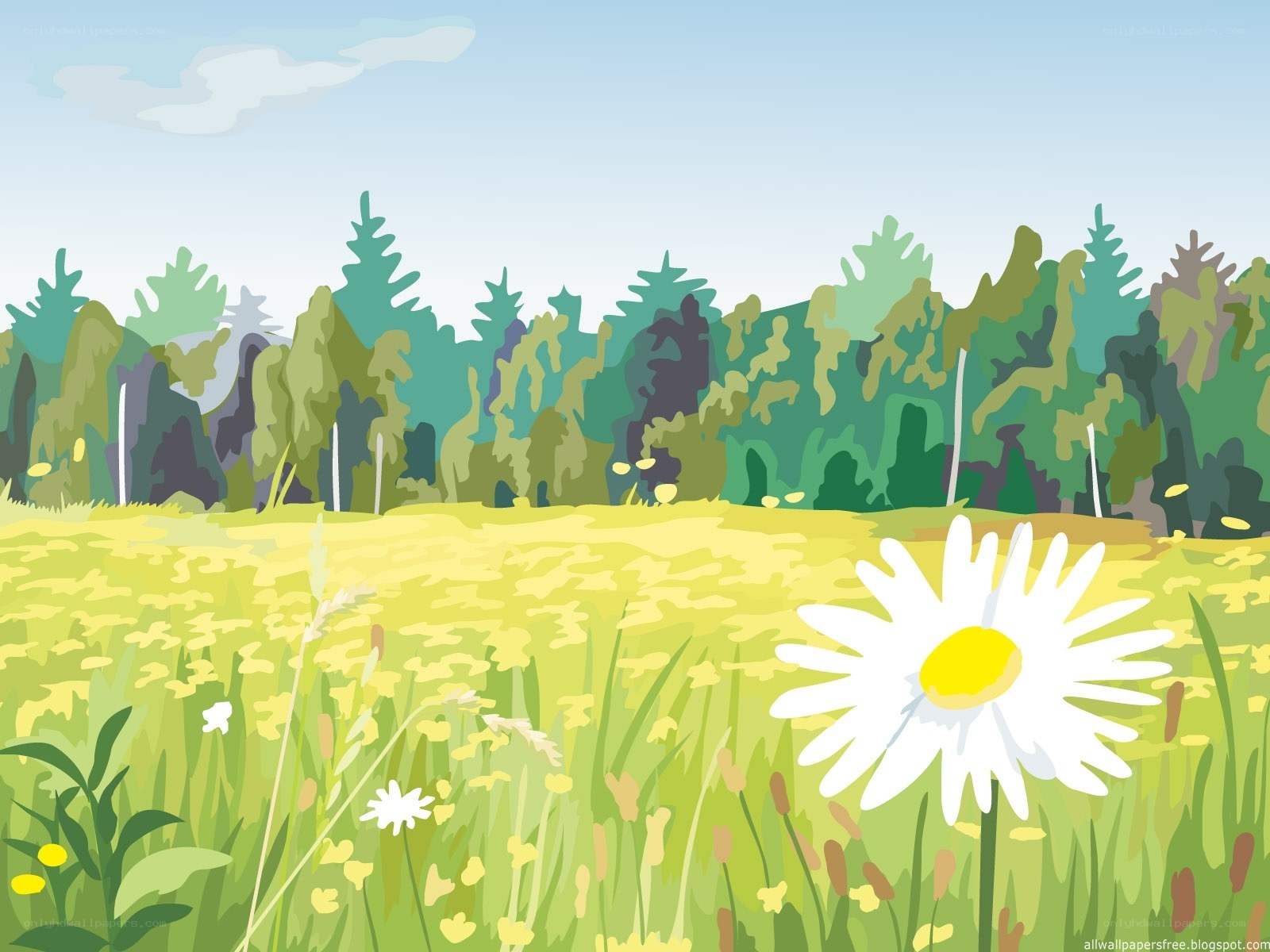 meadow with daisy and forest