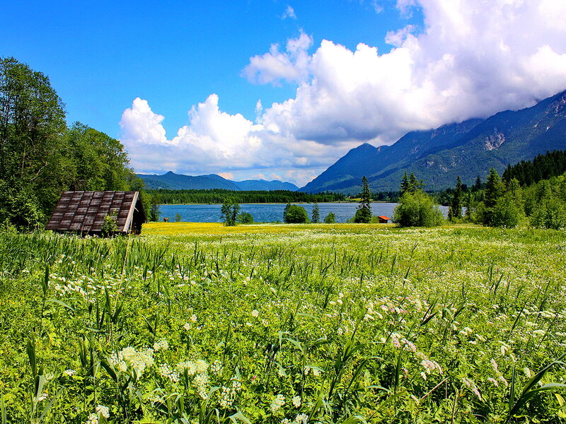 Meadow with Lake and Mountains