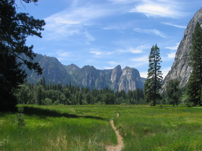 Meadow with Mountains — Green
