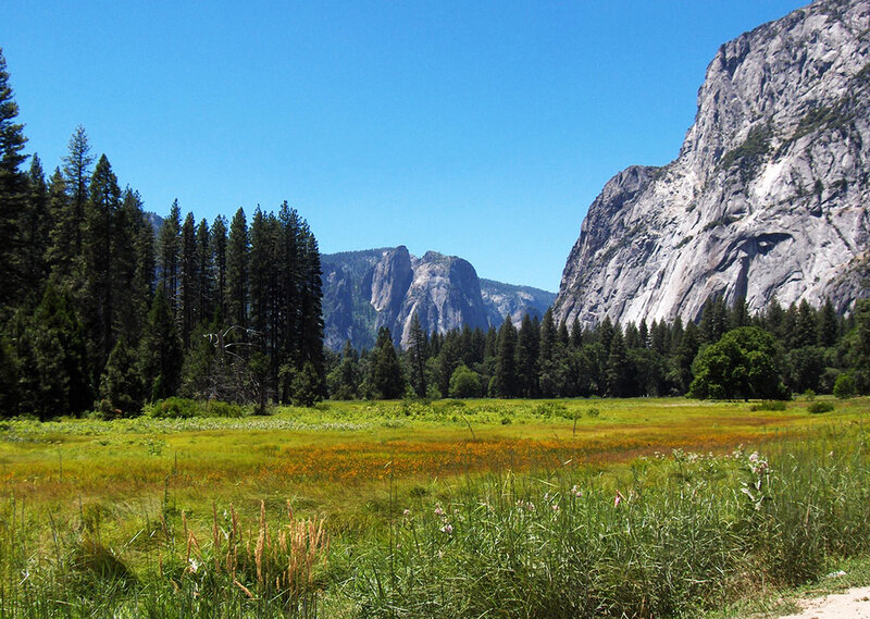 Meadow with Mountains
