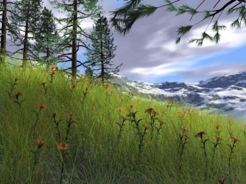 Meadow with Wildflowers — Green, Serene, Spring, 3d Render