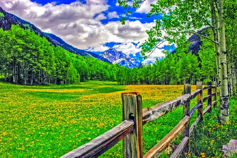 Meadow with Wildflowers — Green, Serene, Spring, Photograph