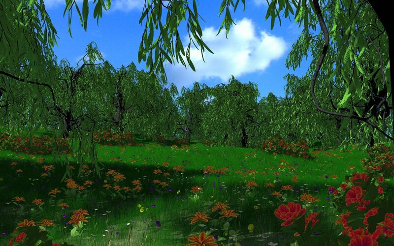 Meadow with Willow Trees