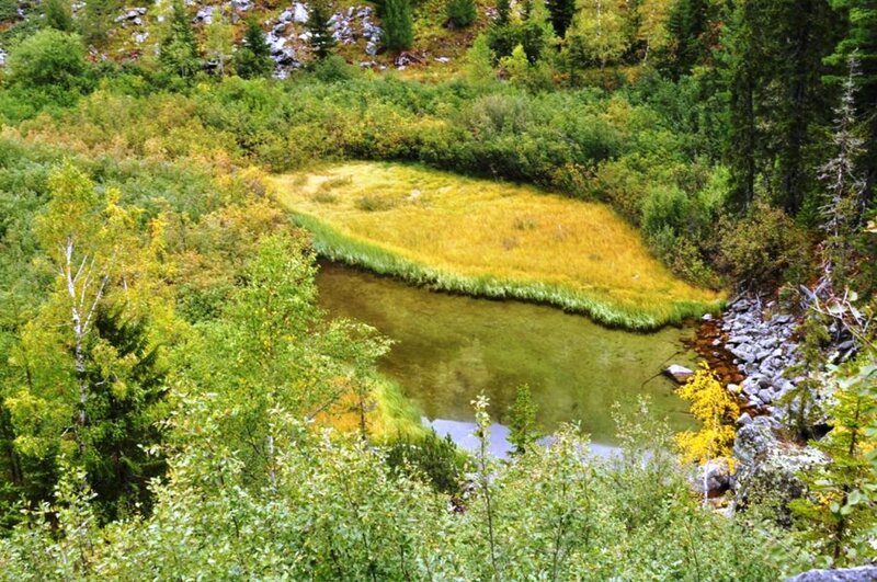 Meandering River Bend
