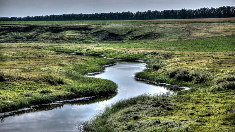Meandering River in Field