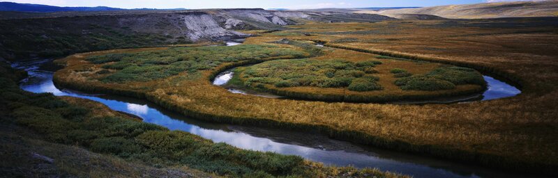 meandering river in tundra landscape