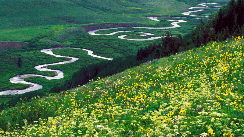 Meandering River in Valley — Green