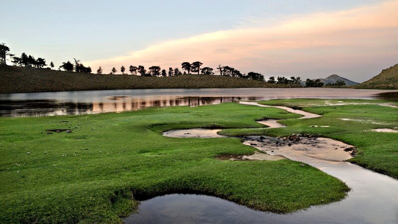 Meandering Stream in Marsh — Green, Serene, Sunset