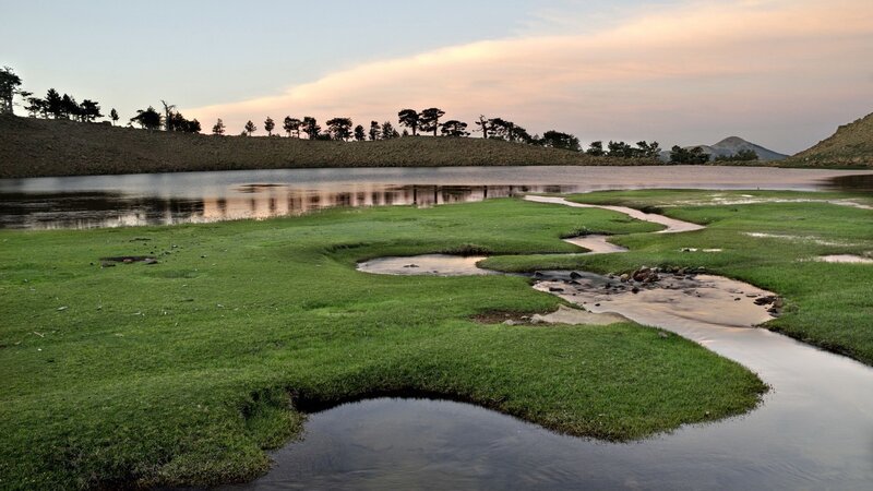 Meandering Stream in Marsh