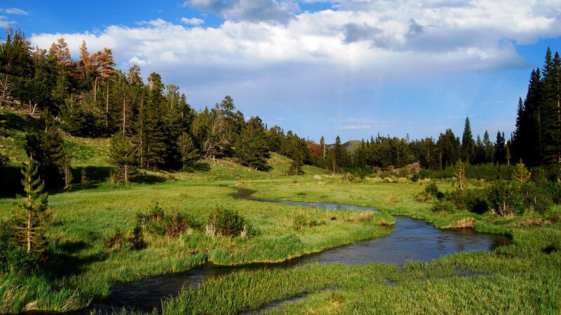 Meandering Stream in Meadow