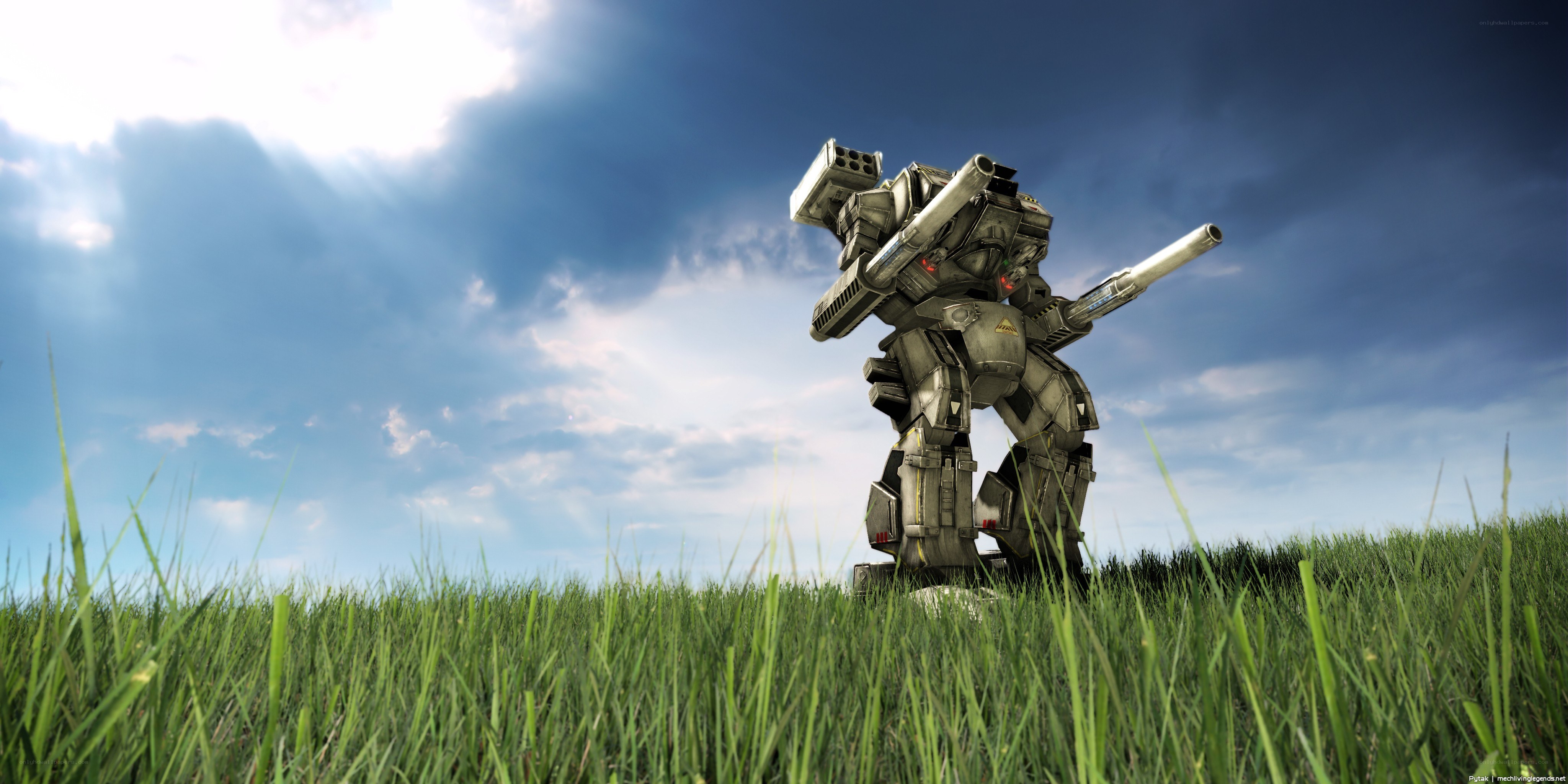 Mech in a grassy field