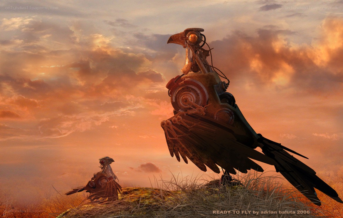 Mechanical birds at sunset