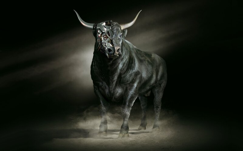 Mechanical Bull