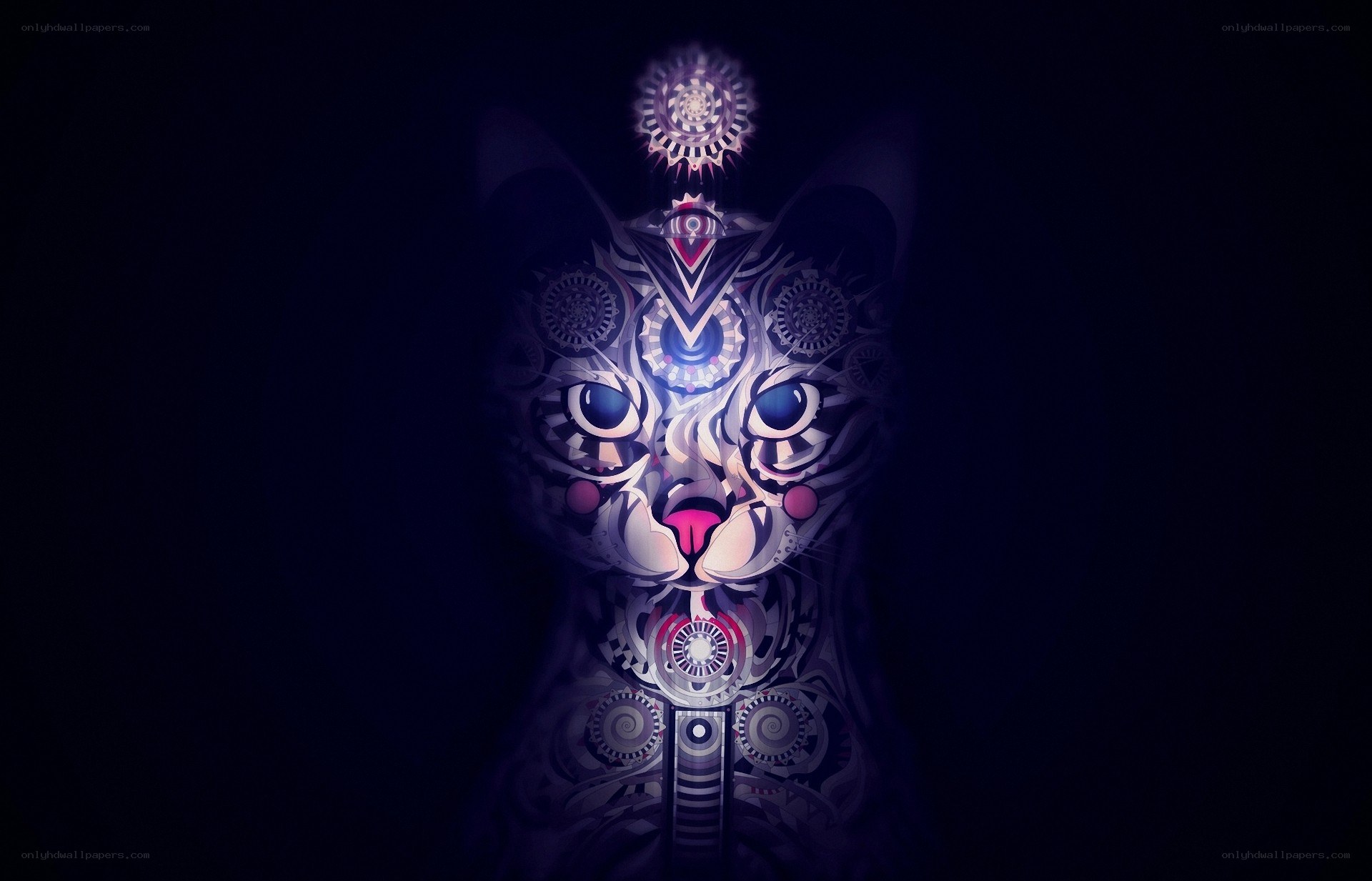 mechanical cat art