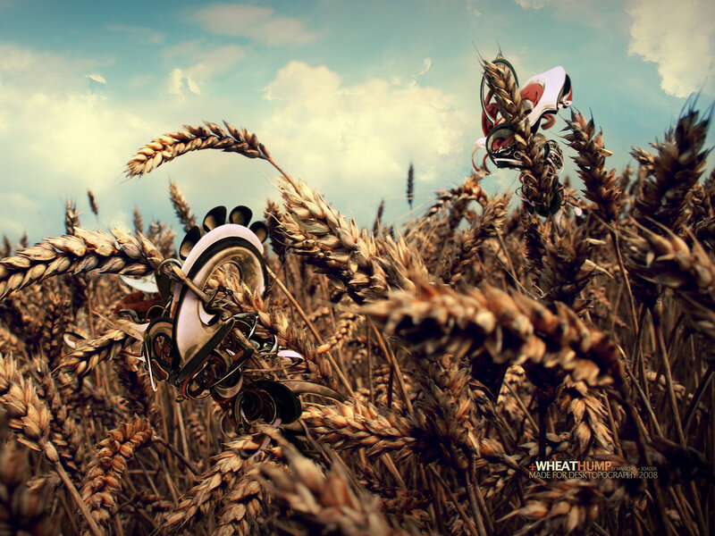 Mechanical Creatures in Wheat — Brown