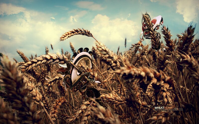 Mechanical Creatures in Wheat