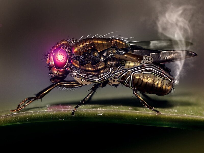 Mechanical Fly on Leaf