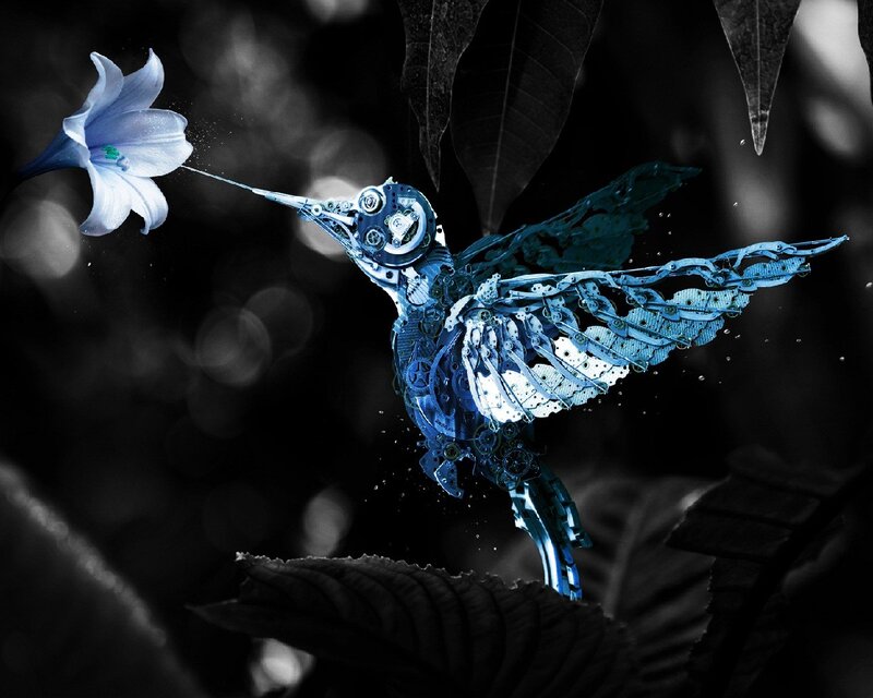 Mechanical Hummingbird — Blue, Dramatic