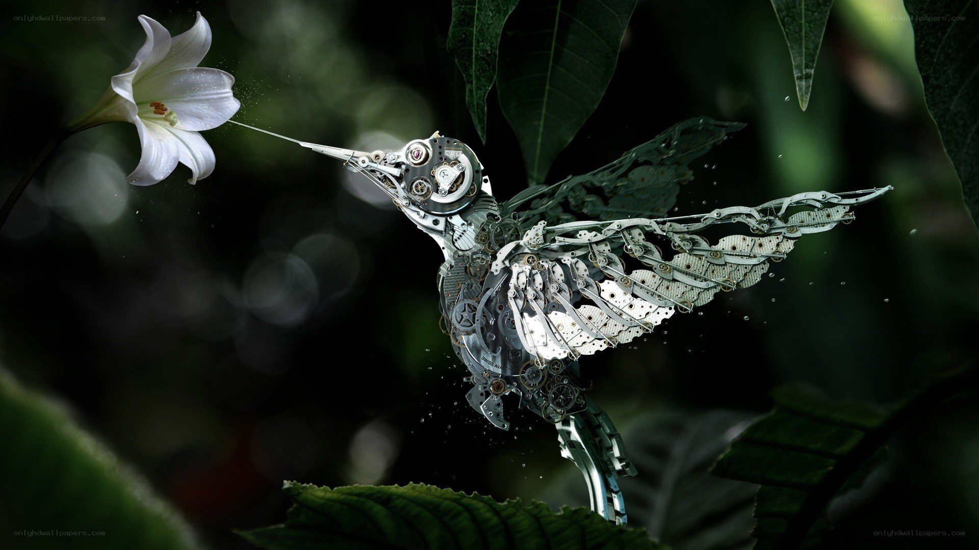 Mechanical hummingbird feeding