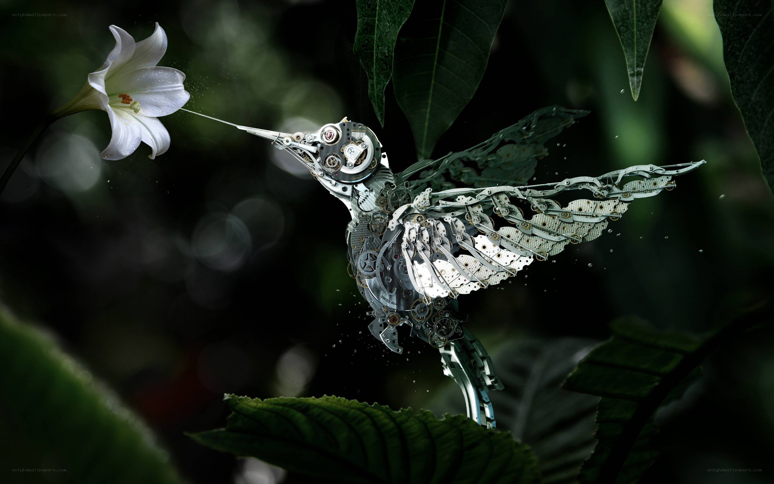 Mechanical hummingbird feeding