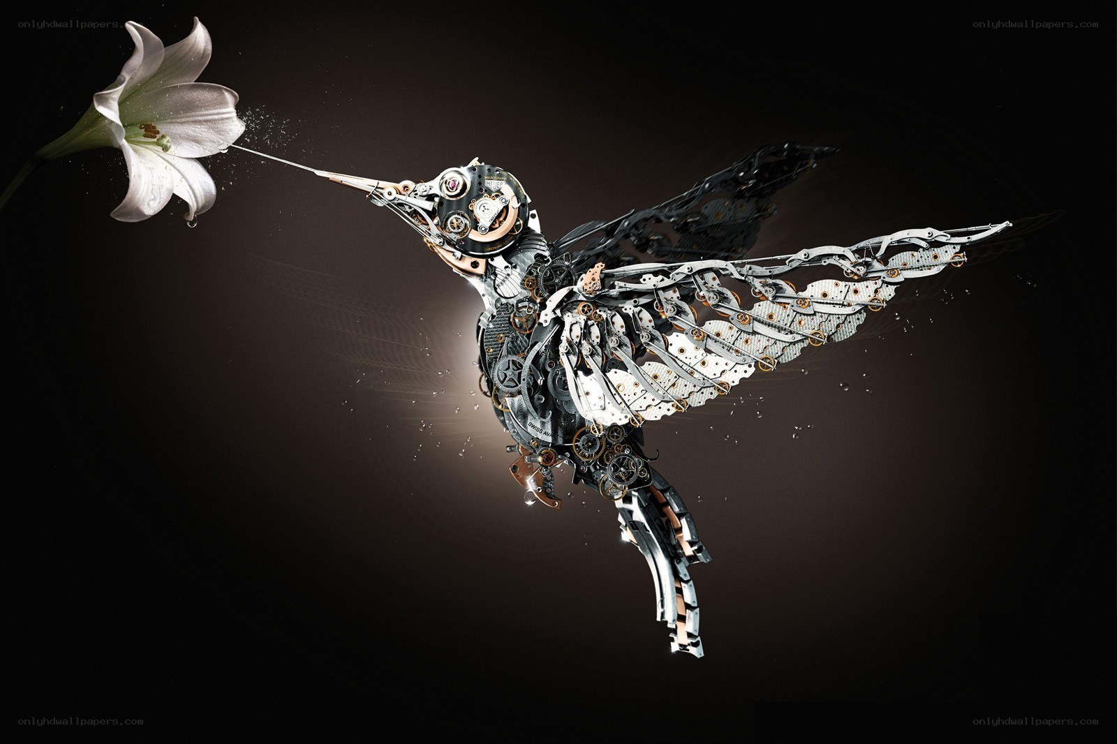 Mechanical hummingbird feeding