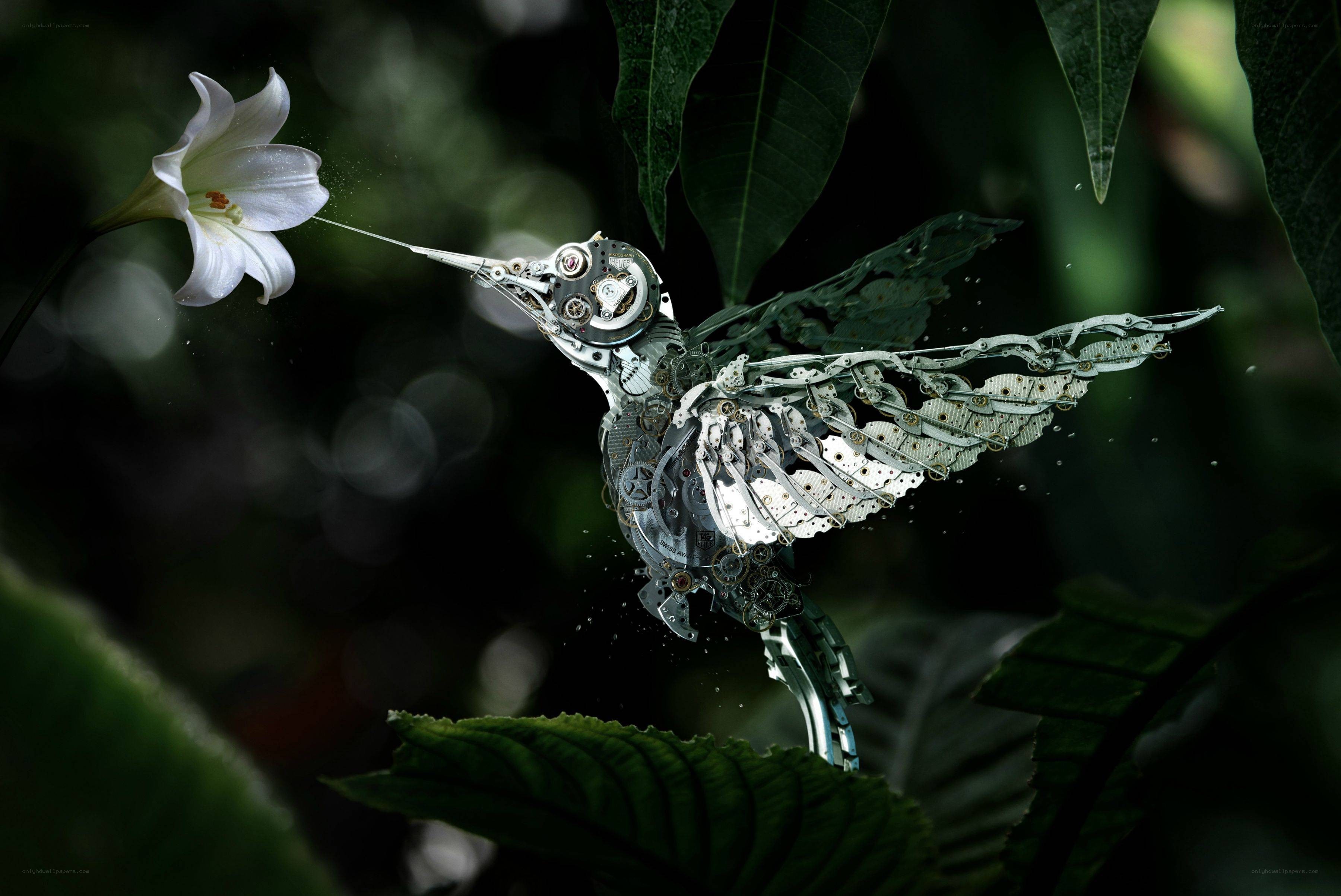 Mechanical hummingbird feeding