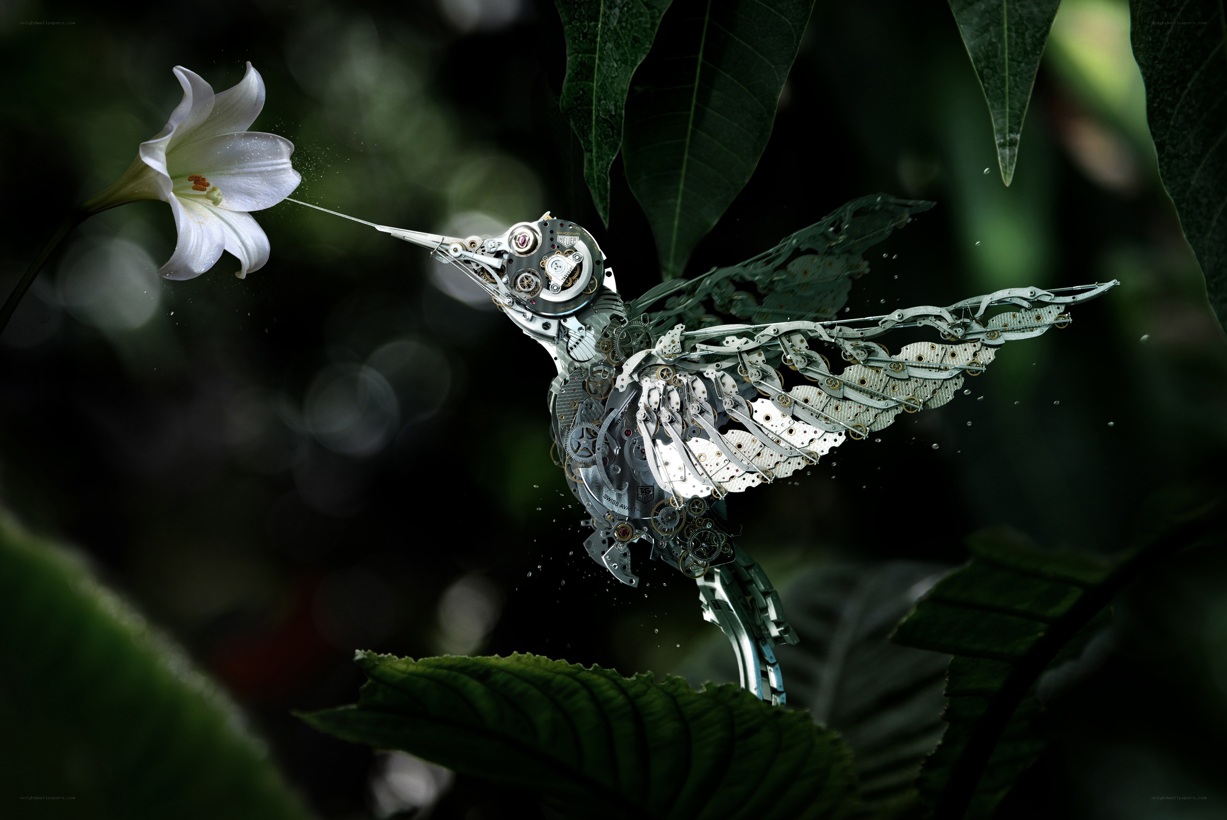 Mechanical hummingbird feeding