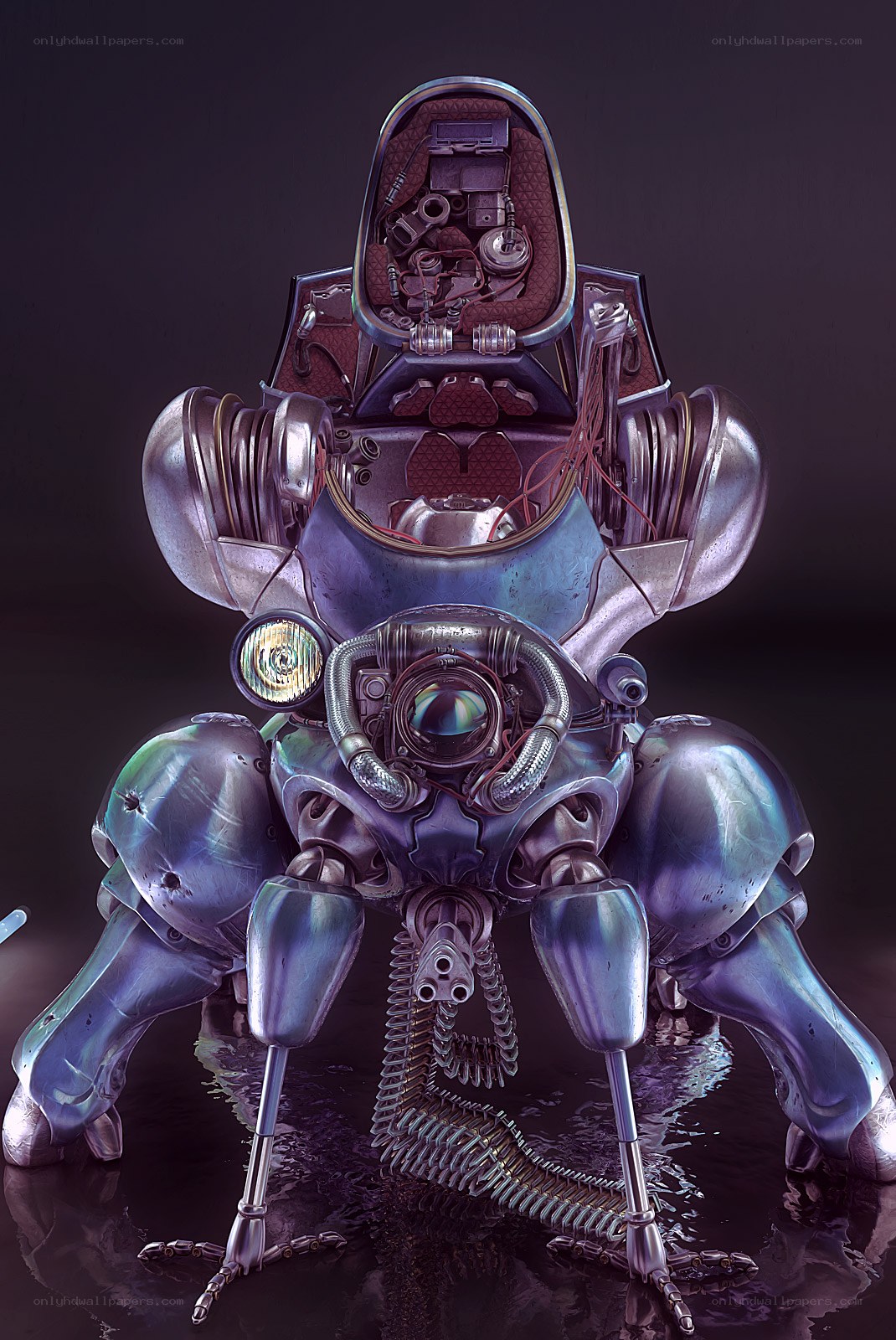 mechanical insect robot