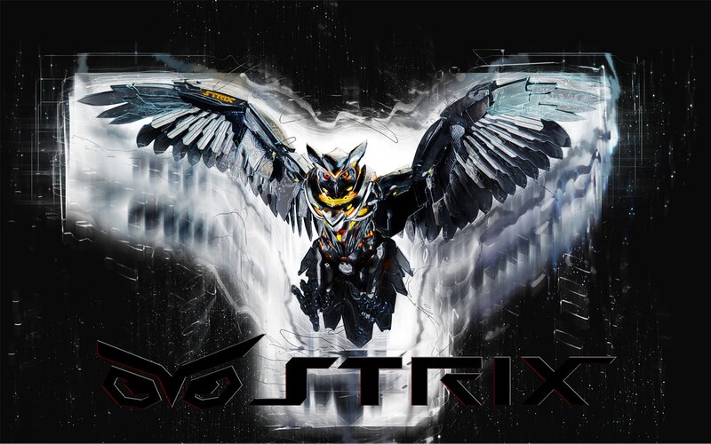 Mechanical Owl Robot