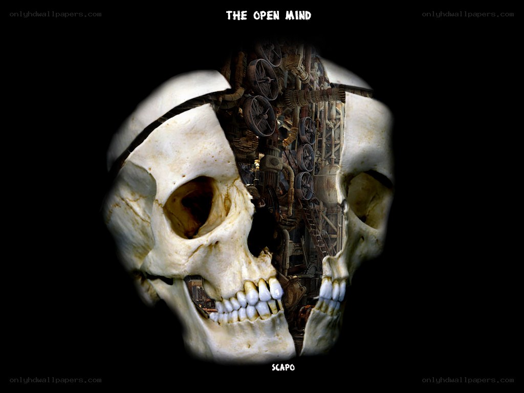 Mechanical skull artwork