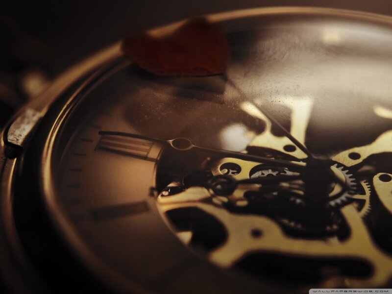 Mechanical Watch Gears — Brown