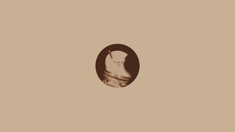 Mechanical Watch Movement — Brown