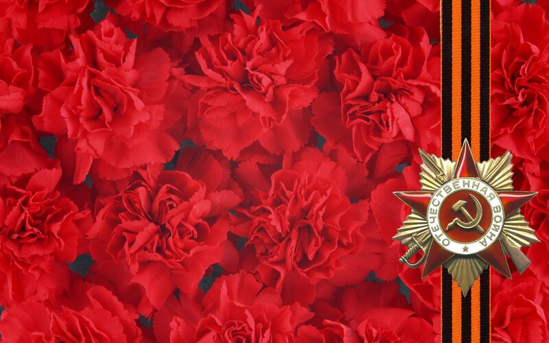 Medal on red carnations