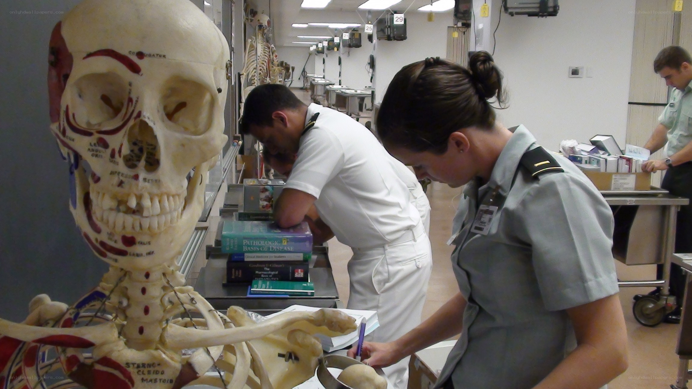 Medical students in anatomy lab