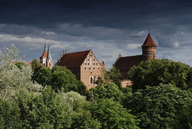 Medieval Castle in Trees