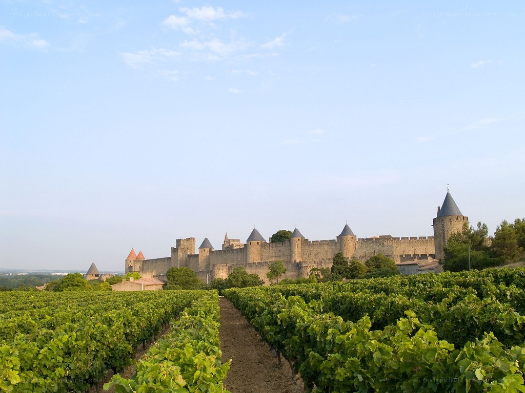 Medieval castle in vineyard