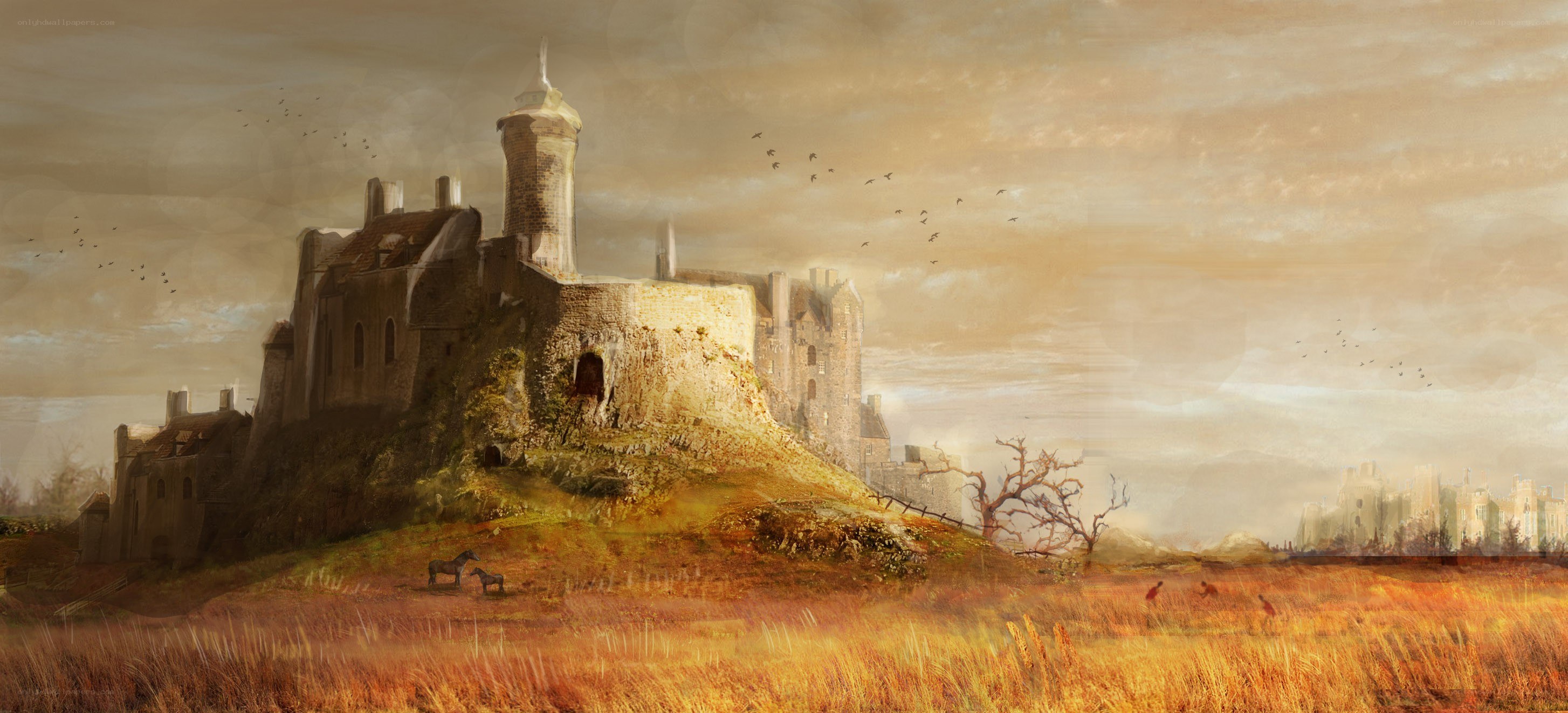 Medieval castle on a hill