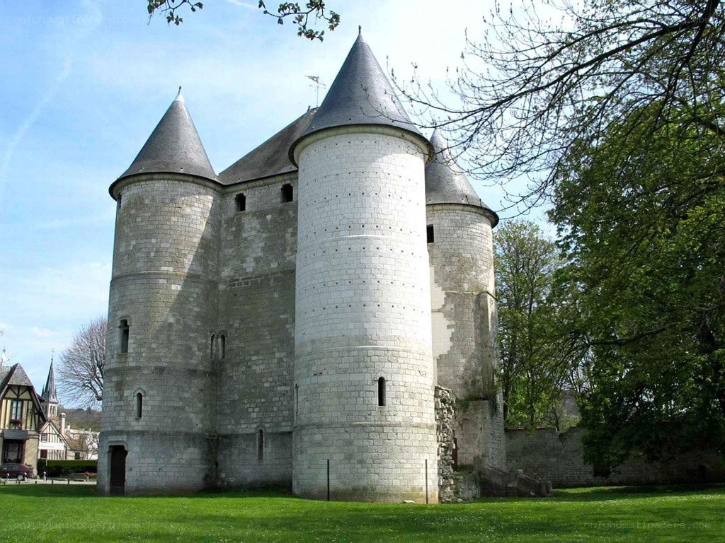Medieval castle with conical towers