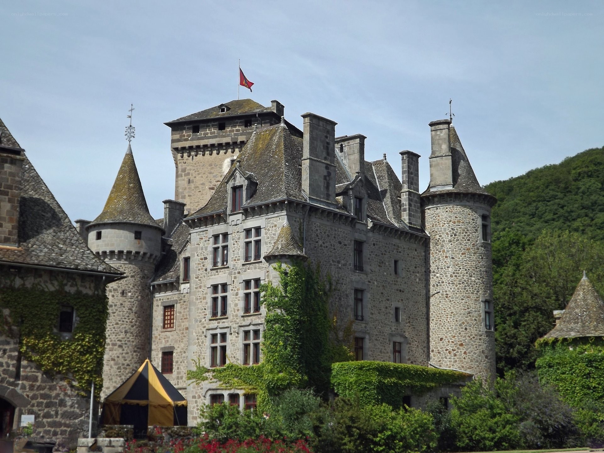 medieval castle with flag